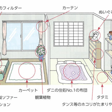 部位別お掃除方法