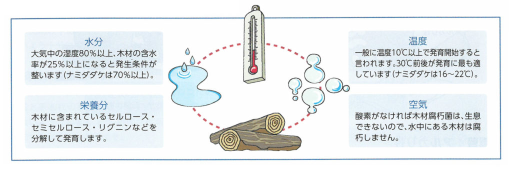腐朽菌発生する４大条件