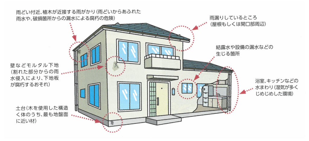 被害を受けやすい所